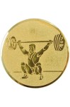 Wklejka aluminiowa R-25mm podnoszenie ciężarów D1-A63