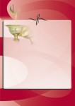 Dyplom papierowy A4 Czysty Ruchar DYP15 (25 szt.)