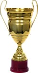 Puchar 2044 A złoty H-66 cm R-260 mm + grawerowanie