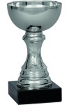 Puchar 9019 C srebrny H-12 cm R-60 mm + grawerowanie