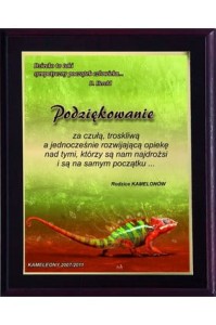 Dyplom drewniany  HG2550 H-16,5 W-11,5cm + nadruk kolor LUXORJet
